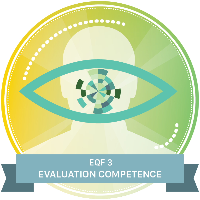 Evaluation competences