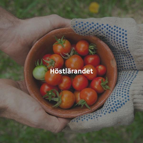 Vi lär oss.