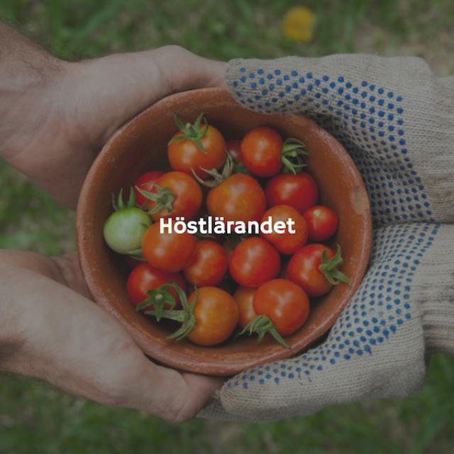 Vi lär oss.