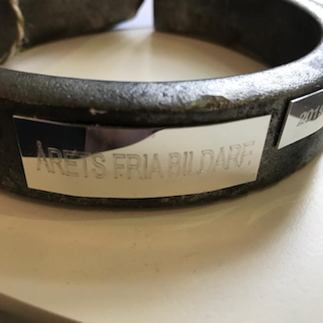 Årets fria bildare