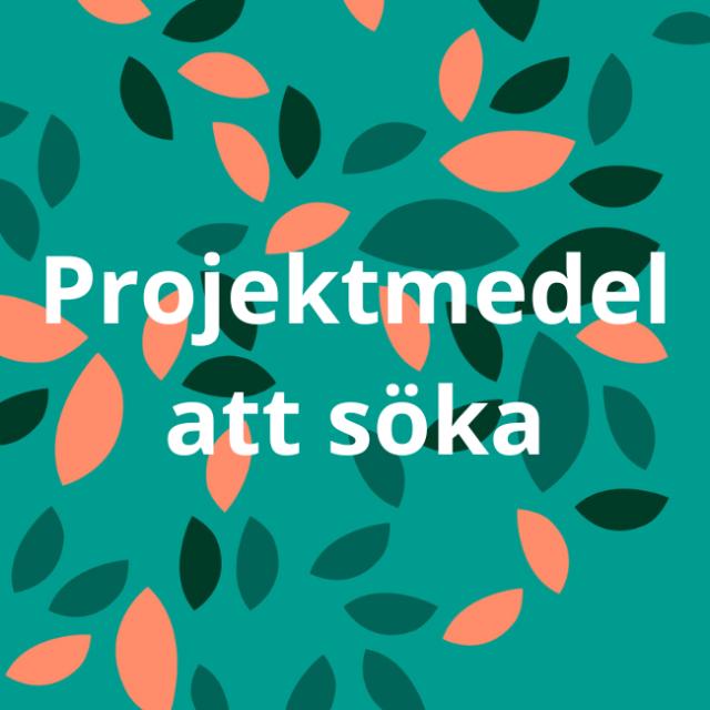 Projektmedel att söka