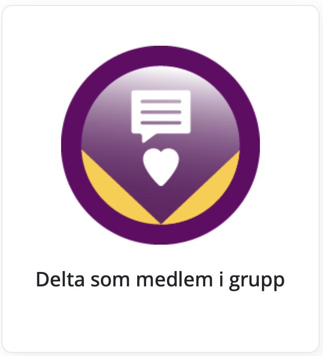 Ett av de nya kompetensmärkena